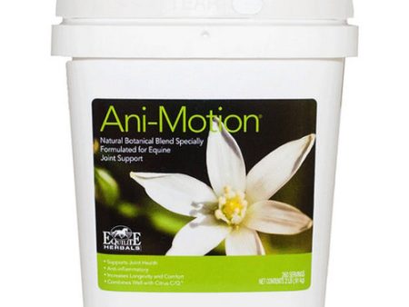 Ani-Motion Equine Joint Support 2 Lbs by Equilite Herbals For Sale