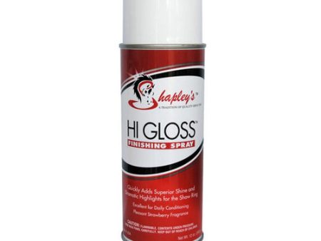 Hi Gloss Finishing Spray 12 Oz by Shapleys Online Hot Sale