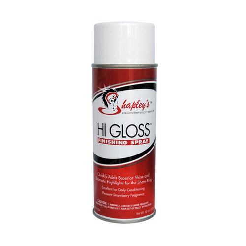 Hi Gloss Finishing Spray 12 Oz by Shapleys Online Hot Sale