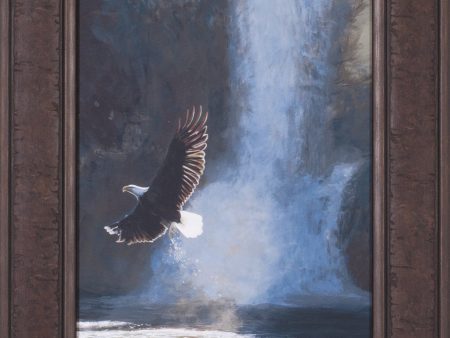 Art Effects Wings Over Water Wall Art by Terry Issac Online