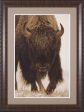 Art Effects American Bison Portrait in Snow North America Wall Art by Tim Fitzharris on Sale