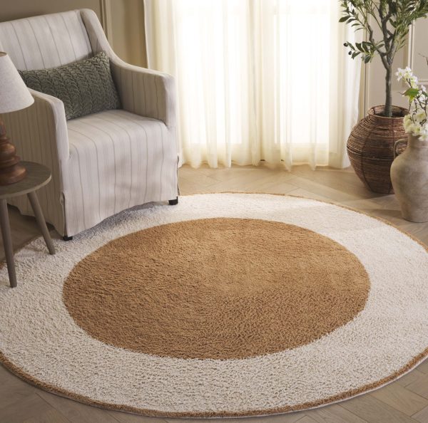 Safavieh Easy Care ECR220T Ivory   Light Brown Machine Washable Area Rug For Discount