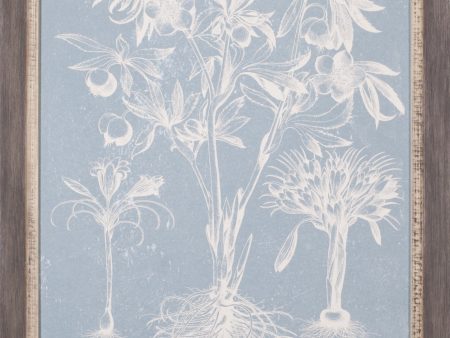 Art Effects Delicate Bester Botanical II Wall Art by Vision Studio Online now