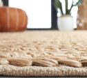 Safavieh Natural Fiber NF102A Area Rug Online now