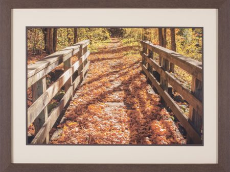 Art Effects Fall On The Footbridge Wall Art by Tim Oldford Sale