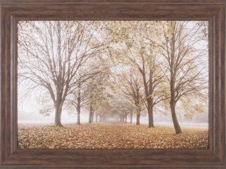 Art Effects Autumn s Peace Wall Art by Assaf Frank Online Sale