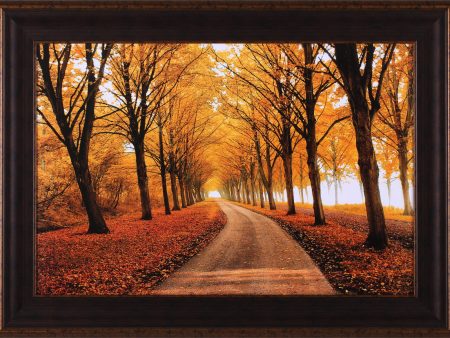 Art Effects Well Traveled Wall Art by Lars Van De Goor Fashion