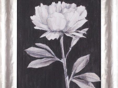 Art Effects Black and White Flowers III Wall Art by Ethan Harper Online