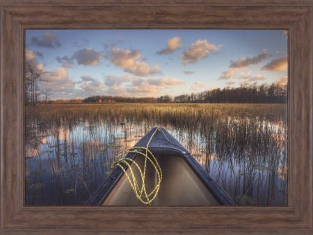 Art Effects Canoeing Down The River Wall Art by Celebrate Life Gallery Online now