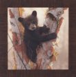 Art Effects Curious Cub Petite I Wall Art by Collin Bogle For Discount