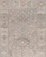 Safavieh Samarkand SRK132F Grey   Ivory Area Rug Online now