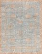 Safavieh Samarkand SRK131M Light Blue   Beige Area Rug Online Sale