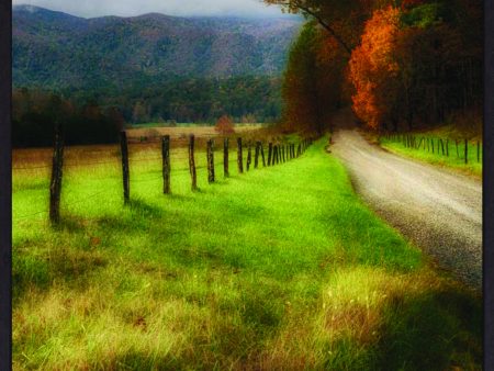 Art Effects A Country Morning Wall Art by D Burt Online Hot Sale