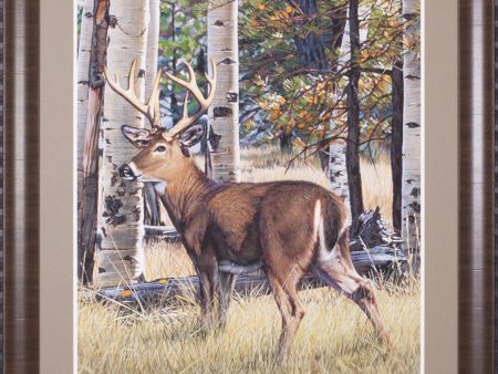 Art Effects Fall Whitetail Wall Art by Russell Cobane Online Hot Sale