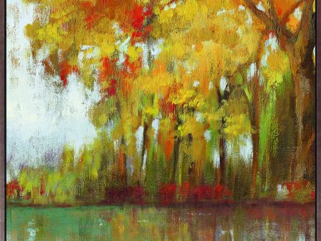 Art Effects Forest Reflection I Wall Art by Asia Jensen Hot on Sale