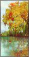 Art Effects Forest Reflection I Wall Art by Asia Jensen Hot on Sale