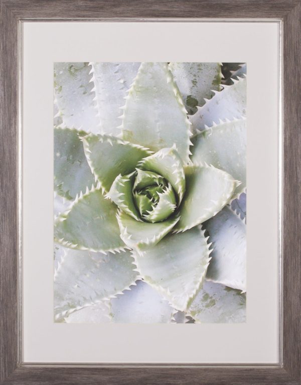 Art Effects Cactus 3 Wall Art by Jenny Kraft Online