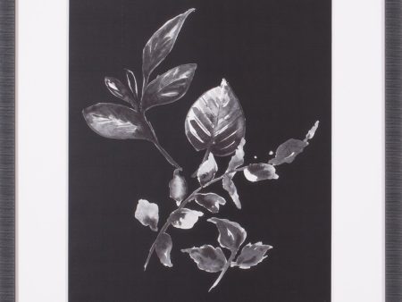 Art Effects Assorted Leaves On Black III Wall Art by Patricia Pinto Supply