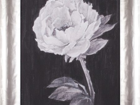 Art Effects Black and White Flowers II Wall Art by Ethan Harper Online