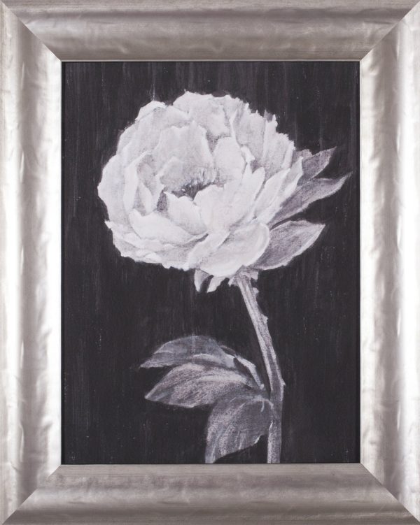 Art Effects Black and White Flowers II Wall Art by Ethan Harper Online