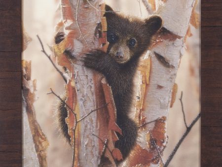 Art Effects Curious Cub Petite II Wall Art by Collin Bogle For Cheap