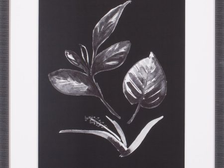 Art Effects Assorted Leaves On Black I Wall Art by Patricia Pinto Hot on Sale