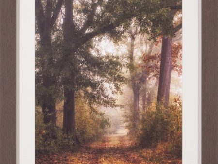 Art Effects Autumn s Walk I Wall Art by Danny Head Discount