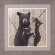 Art Effects Black Bear Mother and Cubs-Mama Wall Art by Collin Bogle Supply