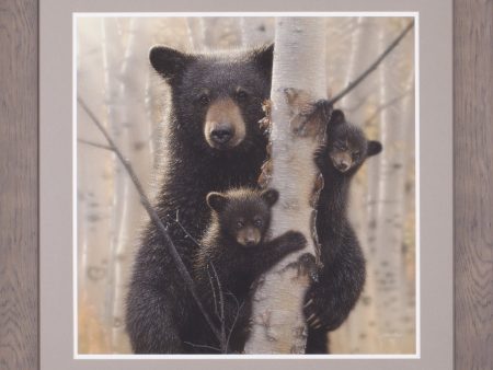 Art Effects Black Bear Mother and Cubs-Mama Wall Art by Collin Bogle Supply