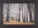 Art Effects Autumn Trees and Leaves Wall Art by Assaf Frank Discount