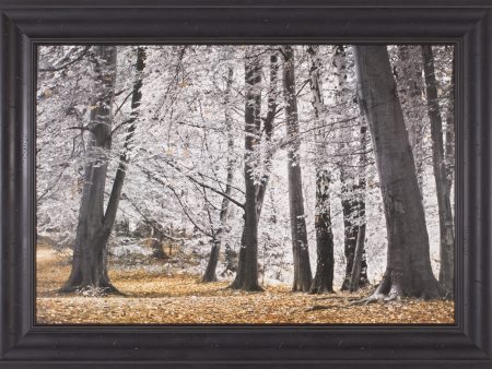 Art Effects Autumn Trees and Leaves Wall Art by Assaf Frank Discount