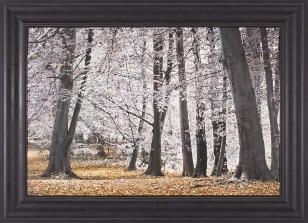 Art Effects Autumn Trees and Leaves Wall Art by Assaf Frank Discount