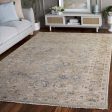 Safavieh Samarkand SRK122D Grey   Gold Area Rug on Sale