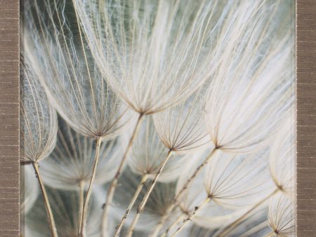 Art Effects Macro Dandelion II Wall Art by Renee W Stramel Online Sale