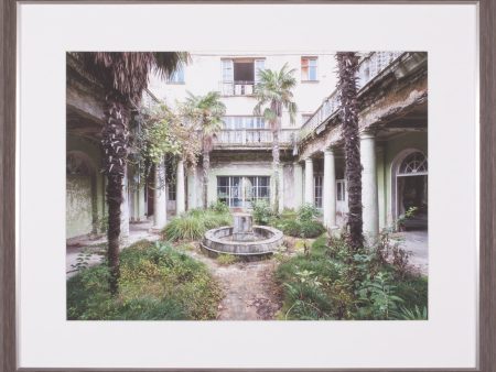 Art Effects Garden Sanatorium Wall Art by Roman Robroek Hot on Sale