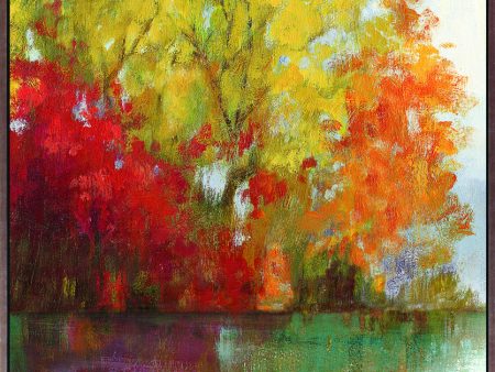 Art Effects Forest Reflection II Wall Art by Asia Jensen Sale