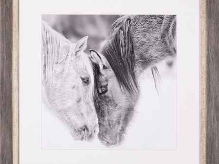 Art Effects Black and White Horses VII Wall Art by PH Burchett Sale