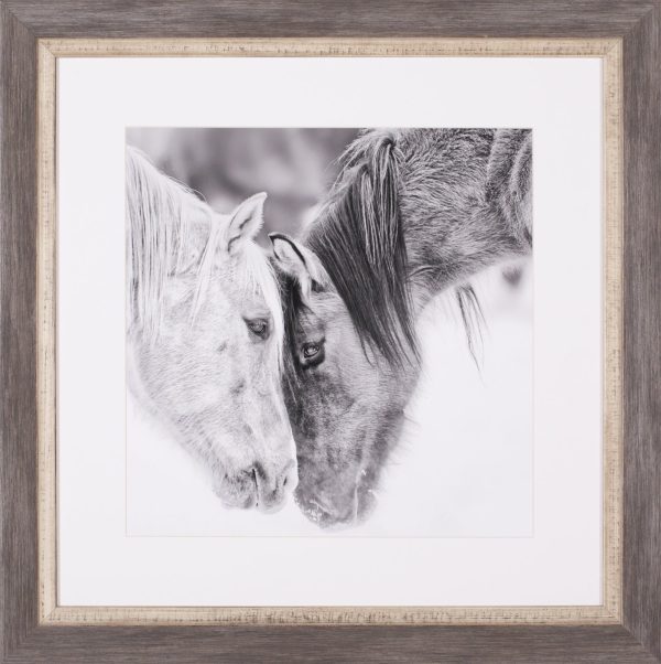 Art Effects Black and White Horses VII Wall Art by PH Burchett Sale