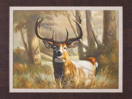 Art Effects Wild Majesty Wall Art by Bill Davies Online Hot Sale