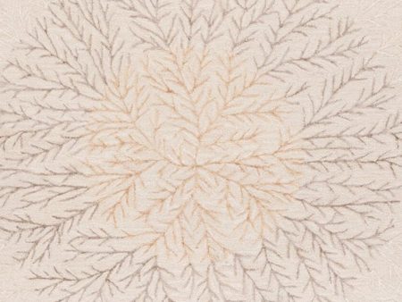 Safavieh Soho SOH257T Beige   Brown Area Rug For Discount