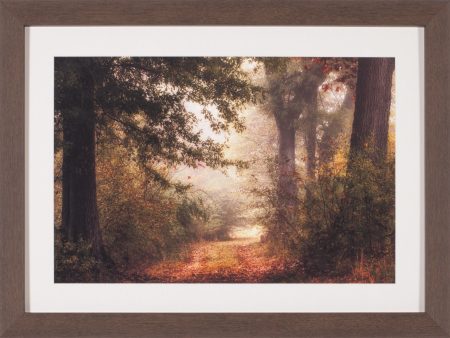 Art Effects Autumn s Walk II Wall Art by Danny Head on Sale