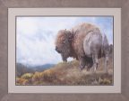 Art Effects Golden Bison Wall Art by Chris Vest Hot on Sale