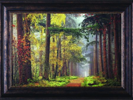 Art Effects Colors Of The Forest Wall Art by Lars Van De Goor Supply