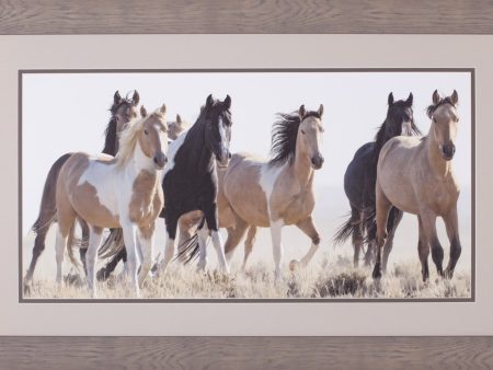 Art Effects Horses In The Wild Wall Art by Carol Walker For Cheap