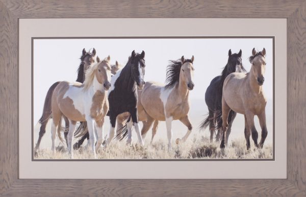 Art Effects Horses In The Wild Wall Art by Carol Walker For Cheap