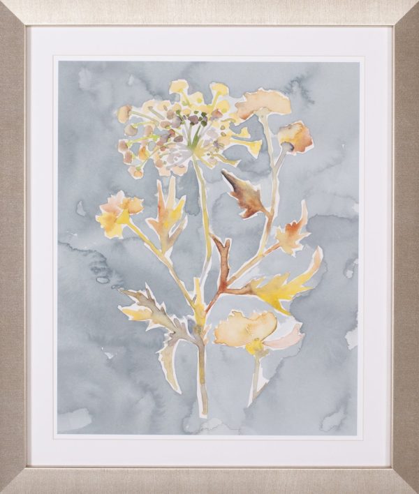 Art Effects Collected Florals I Wall Art by Chariklia Zarris on Sale