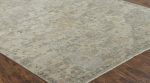 Ancient Boundaries Agerola AGE-1288 Grey Area Rug For Discount