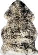 Safavieh Sheep Skin SHS121 Ivory   Dark Charcoal Area Rug on Sale