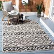 Safavieh Veranda VER095-3413 Beige   Grey Area Rug Online now