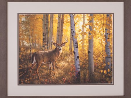 Art Effects Whitetail in Aspens Wall Art by Greg Alexander For Discount